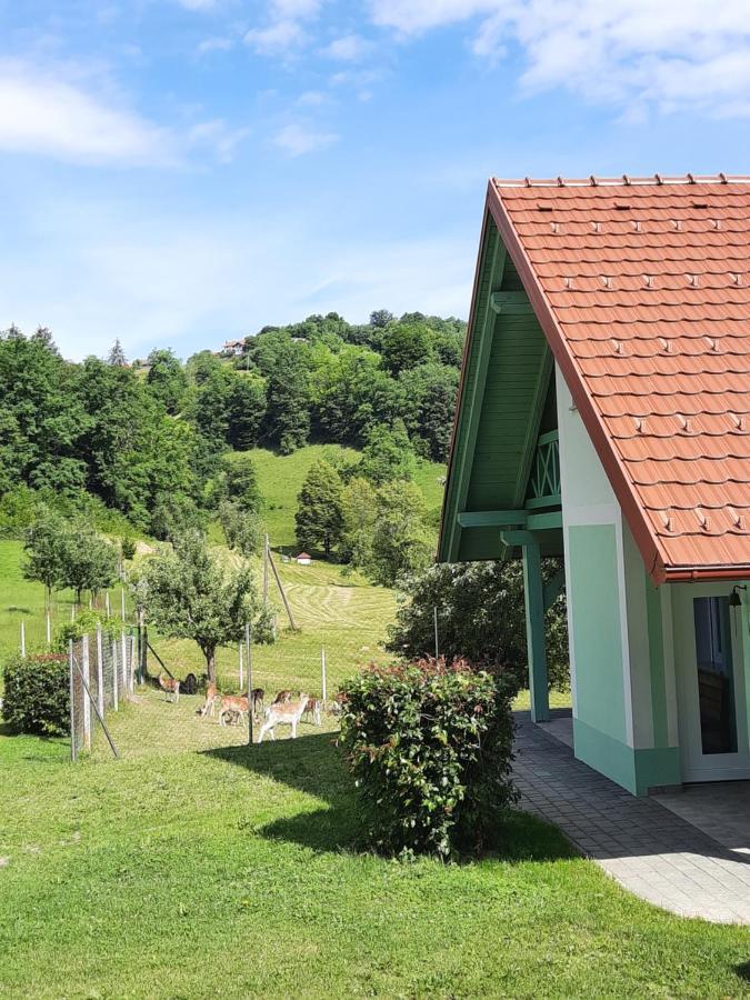 Holiday Home Neokrnjena Narava Sevnica المظهر الخارجي الصورة