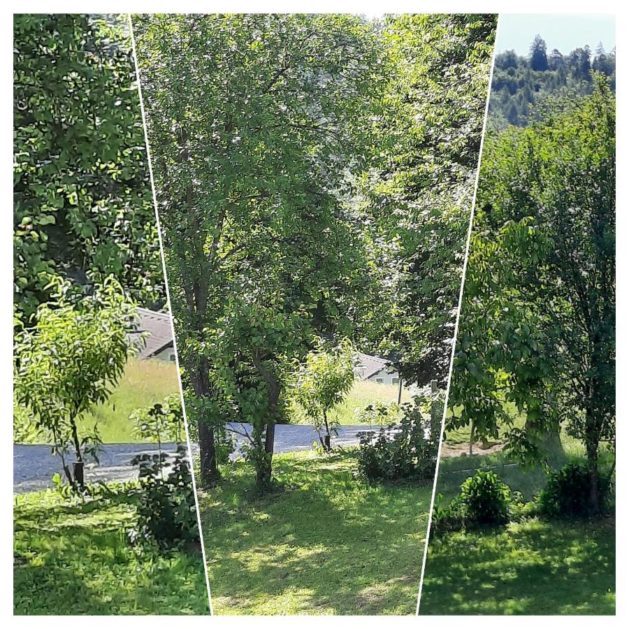 Holiday Home Neokrnjena Narava Sevnica المظهر الخارجي الصورة